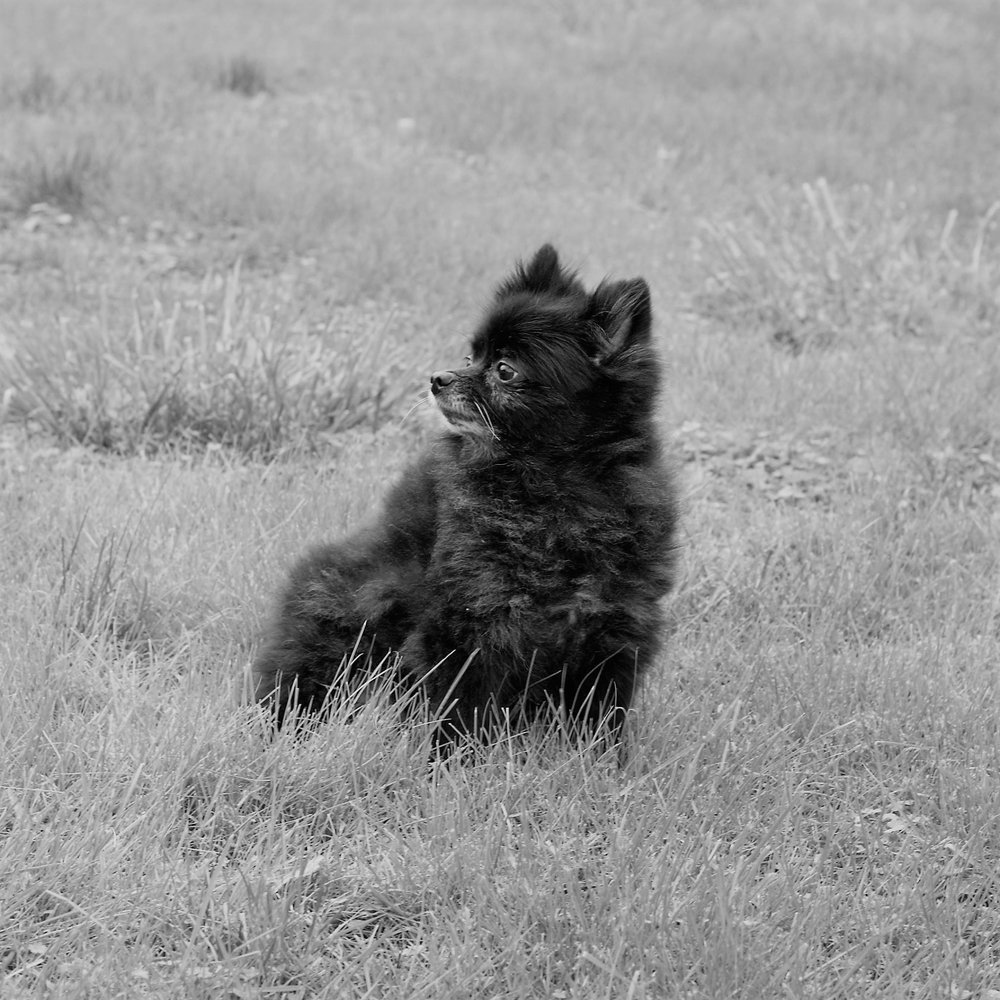 Bailey Blue Boutique